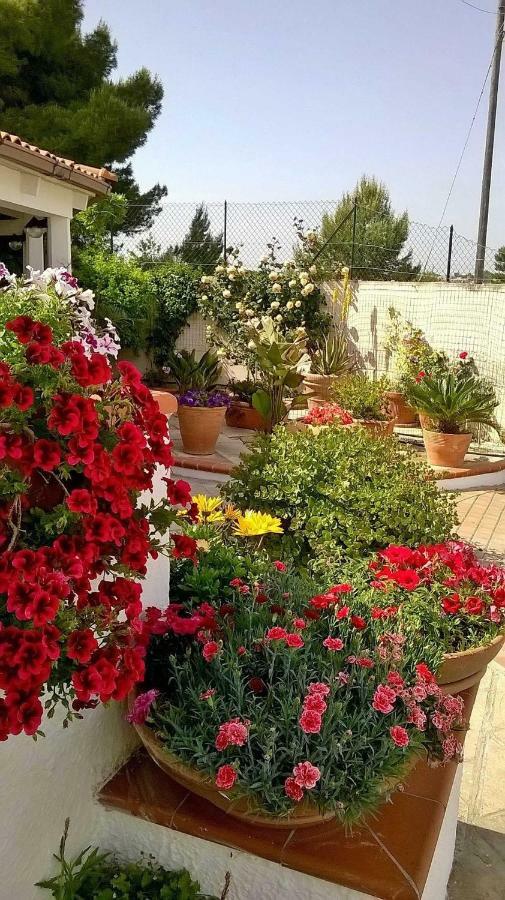 B&B Le Vele Maruggio Exterior foto